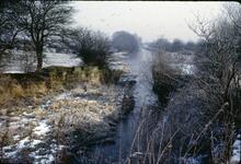 Dearne & Dove, Worsborough Branch