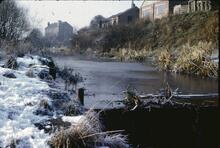 Dearne & Dove, Worsborough Branch