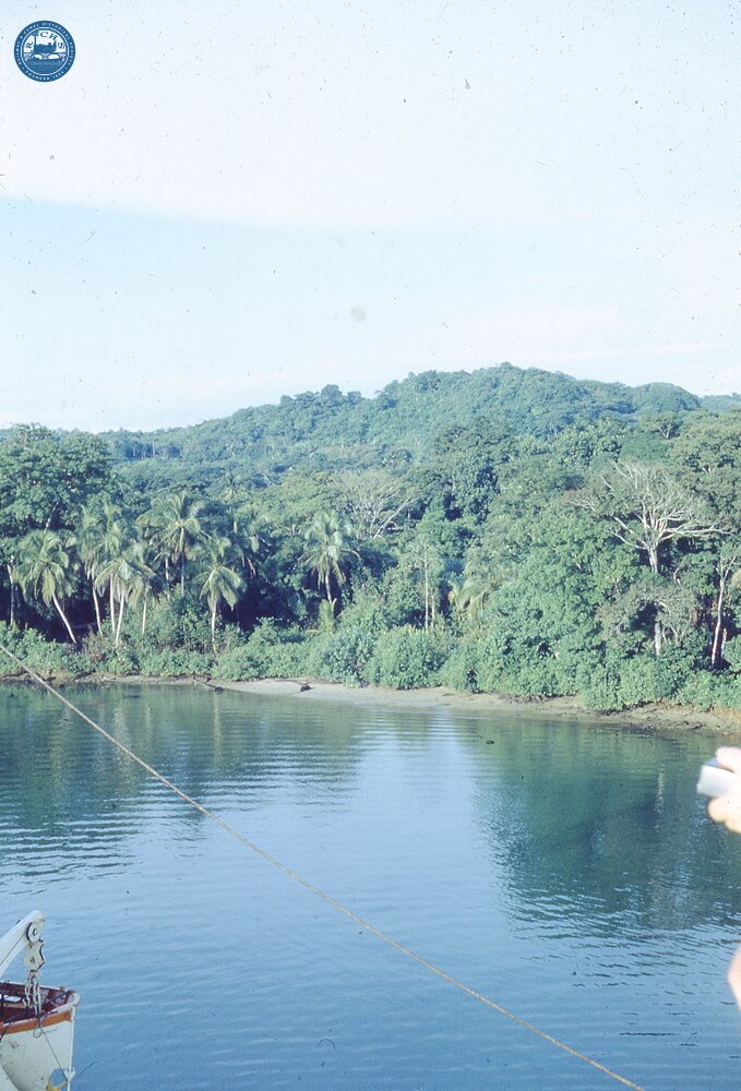 NZ1__57E trees on bank Panama canal17 October 1970  (Ref017943E)