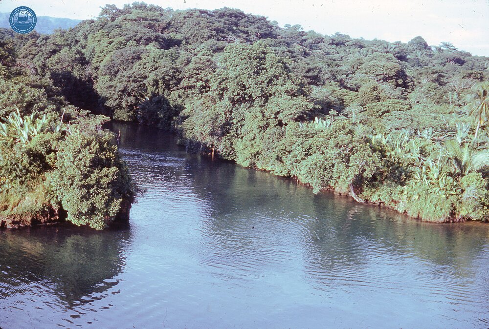 NZ1__58E Old cut Panama canal17 October 1970  (Ref 017944E)