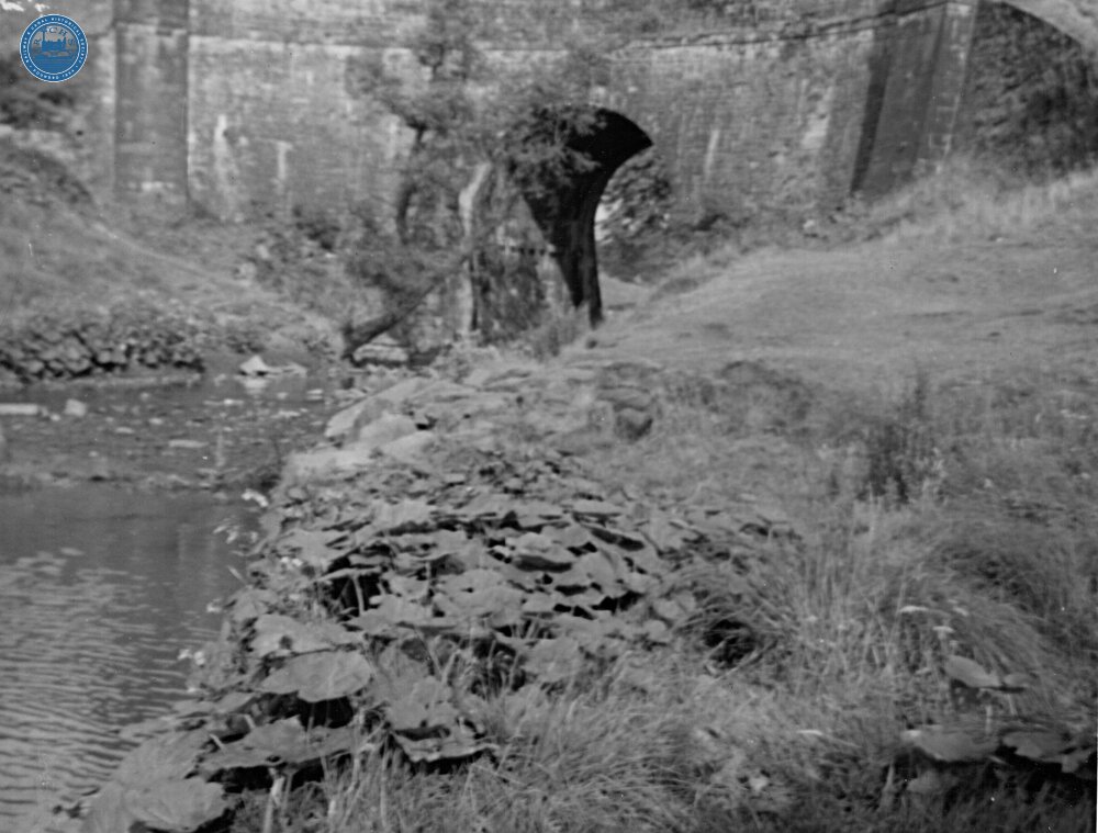 Hollingwood Branch. Waterhouses Aqueduct. August 1959