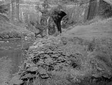 Hollingwood Branch. Waterhouses Aqueduct. August 1959