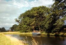 Near Lymm