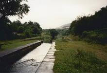 Greenfield. 1988