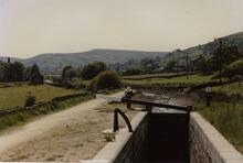 Lingards Wood. 1989