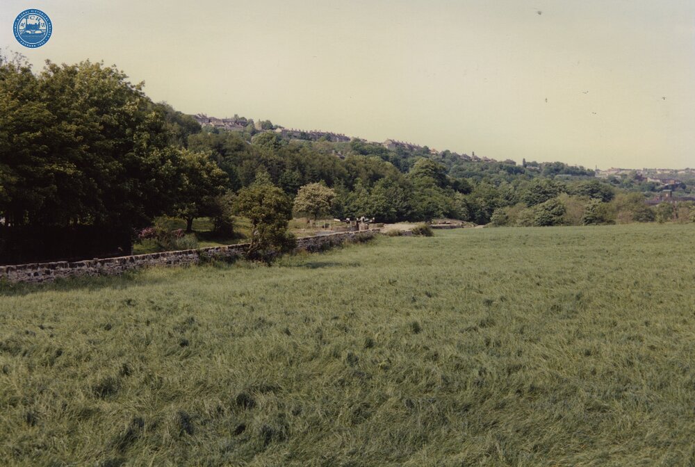 Low Westwood. 1989