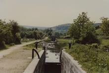 Lingards Wood .1989