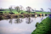 Lancaster Canal. Galgate. Boats moored against eroding bank. 1969