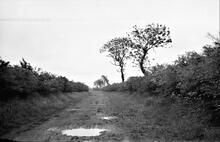 Lancaster Canal Company, Preston & Walton Summit Tramroad. Whitehouse Rise. June 1936 (9)