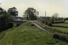 Farleton 1989