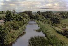 Stainton 1989
