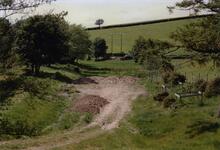 Stainton 1989