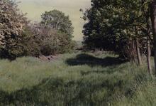 Hincaster 1989