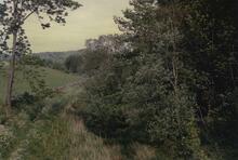 Sedgwick 1989