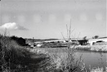 Lancaster Canal: Looking south  from near Tewitfield towards Borwick. 3/1964