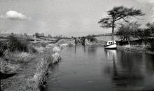 Lancaster Canal: Looking towards Tewitfield bottom lock. 3/1964