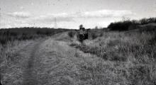 Lancaster Canal: Tewitfield Lock 4, looking to lock 5. 3/1964