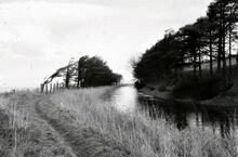 Lancaster Canal: View north along canal from Hilderstone, near Burton-in-Kendal. March 1964