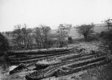 Canal at Higher Poynton. Drained due to a leak. 18 November 1961.