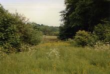 Canal bed Ringley. 1989