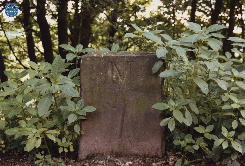Milestone 7 1989