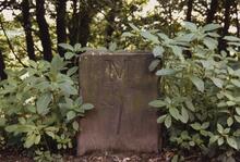 Milestone 7 1989