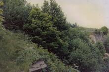 Breach Site, Prestolee 1989