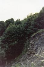 Breach Site, Prestolee 1989