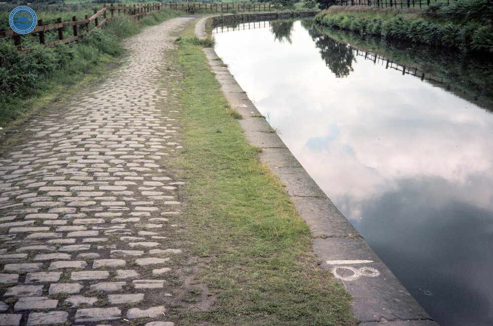 Stone Setts on Towpath. July 1981