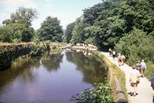 Looking down the Marple Flight from the Tail Bridge of Lock 7. June 1975