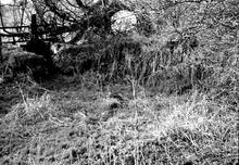 Oxford Canal: Hillmorton Paddle Gear
