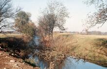 Fennis Field arm.  Nov 1973.  