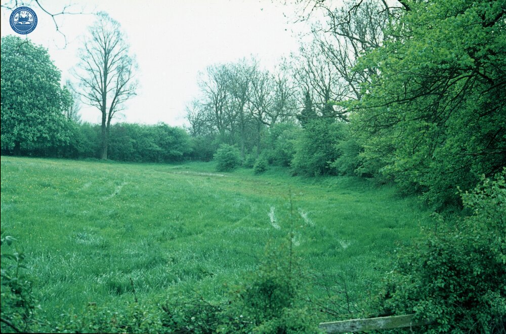 Old line near Stretton Stop.  1975. 