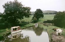 Below Napton Bottom Lock. October 1968