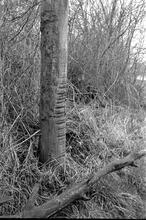 Running post at Bridge 122 March 1973