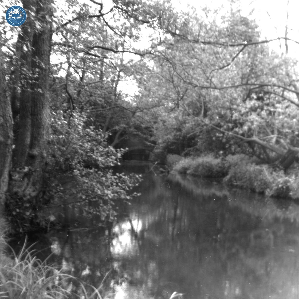 Cropredy Mill Leat.  1976 