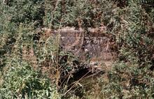 Culvert at Thrupp. 1975