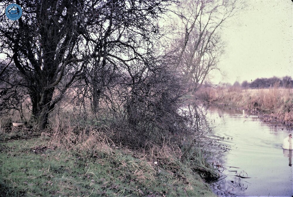 Just above Lock. 1965