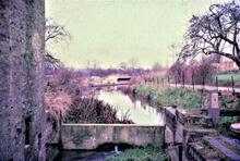 Cassington Mill Leat. 1965