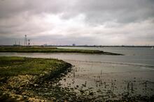 Darent Confluence into the Thames. 1975