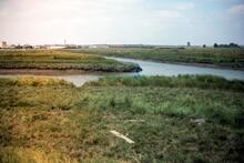 Confluence of Darent and Cray.1977