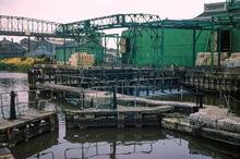 Darent Lock. 1975