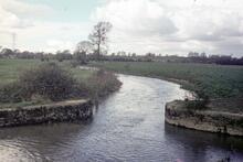 Entrance to Eynsham Wharf Stream. April 1972