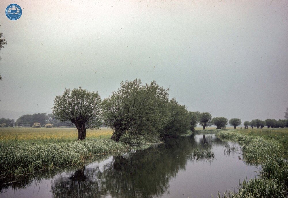 Oxey Mead. 1960