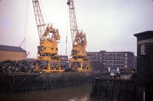 Cranes in Deptford Creek. 1975