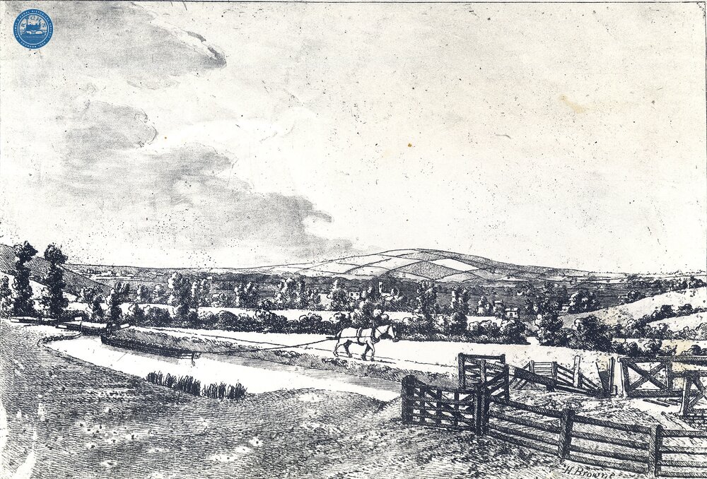 Croydon Canal. View towards Deptford. 1815