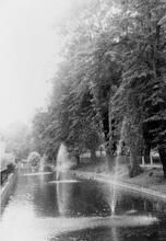 Section of canal in Butts Park.  27/08/1973