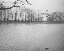 South Norwood Lake  1970