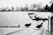 South Norwood Lake  April 1980