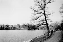 South Norwood Lake  April 1980
